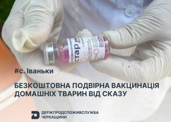 4 квітня в Іваньках проводитимуть щеплення домашніх тварин проти сказу — Новости Черкасс