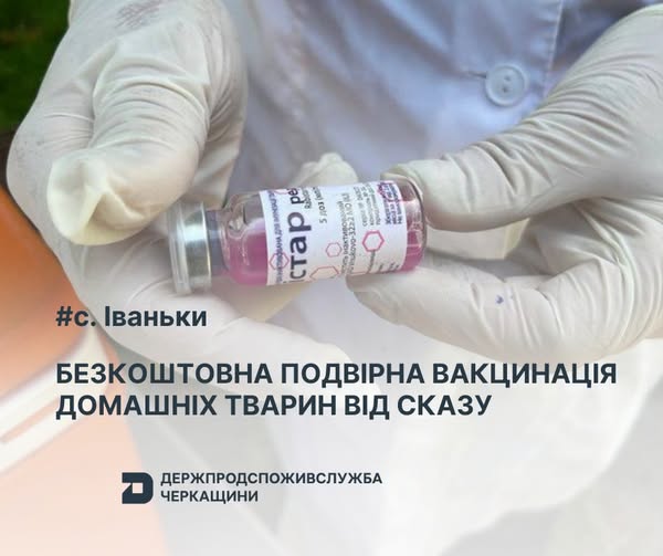 488058865_1046692127489397_2506080836347817920_n