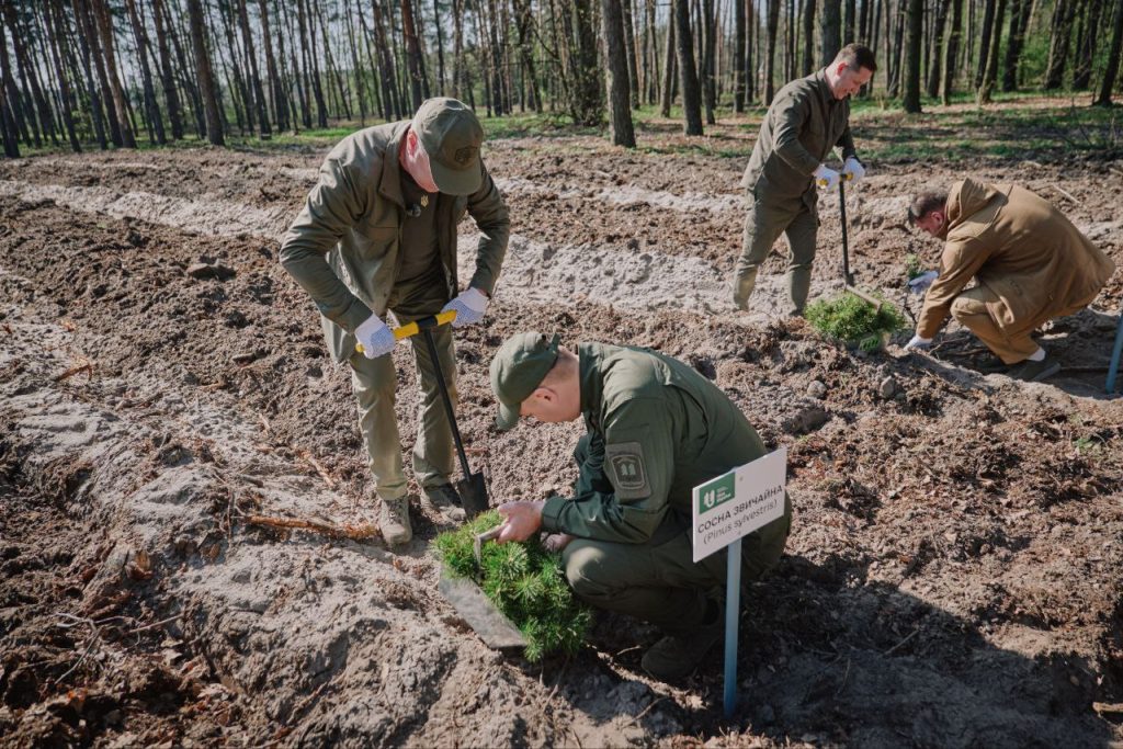 висаджування нового лісу на Черкащині