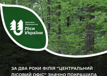 Два роки від створення: філія «Центральний лісовий офіс» покращила показники роботи — Новости Черкасс