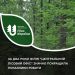 Два роки від створення: філія «Центральний лісовий офіс» покращила показники роботи — Новости Черкасс