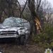 Дві ДТП у Львові на вулиці Городоцькій: постраждали водій і пішохід — LVIV.MEDIA