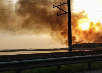 Липівський заказник у вогні: пожежа охопила плавні біля Черкас — Новости Черкасс
