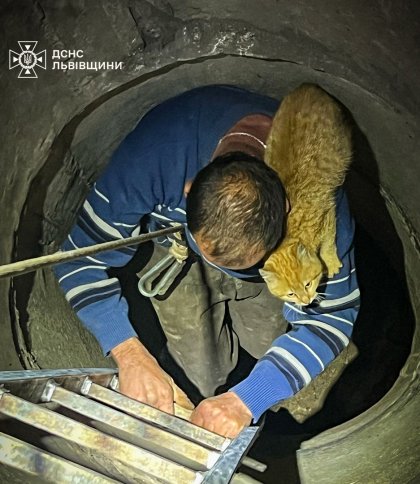 Мешканець Львівщини поліз у 10-метрову криницю рятувати кота і застряг сам