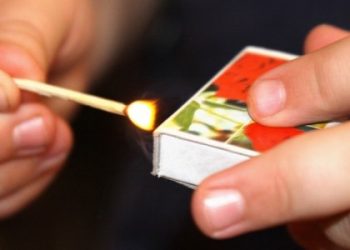 Мешканку Львівщини оштрафували через сина, який підпалив сарай — Львівщіна