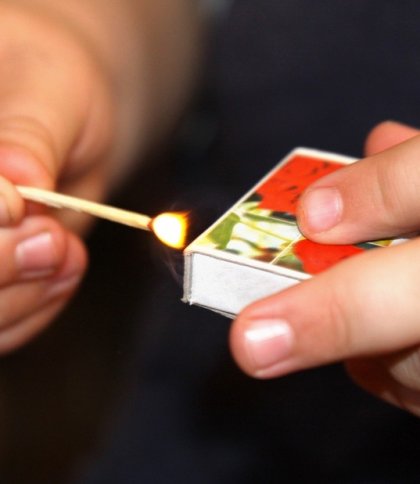 Мешканку Львівщини оштрафували через сина, який підпалив сарай