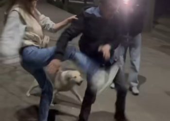 На Черкащині підлітки під російську музику знущалася з дорослого чоловіка (ВІДЕО) — Новости Черкасс