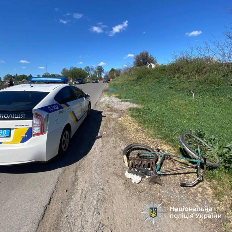 493014848_1129431862561434_7652261454433544732_n