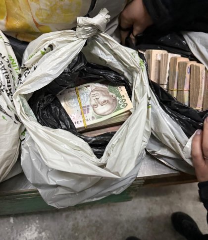 Пасажирка Ford хотіла ввезти майже мільйон гривень готівкою на Львівщину