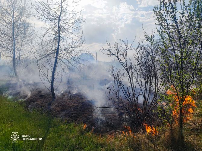 492480011_1096012025896837_9147101537516740342_n