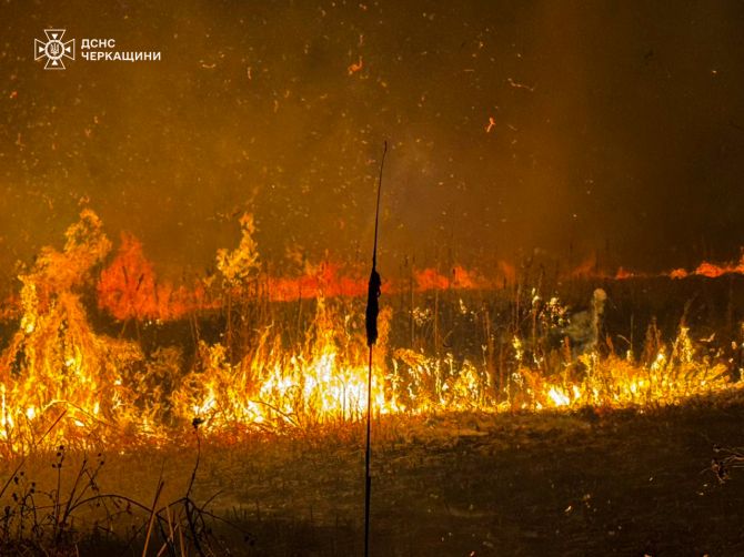 493104496_1096012115896828_3551772726491138869_n