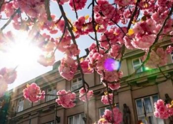 Синоптики прогнозують до 27 градусів тепла та грози на Львівщині — Львівщіна