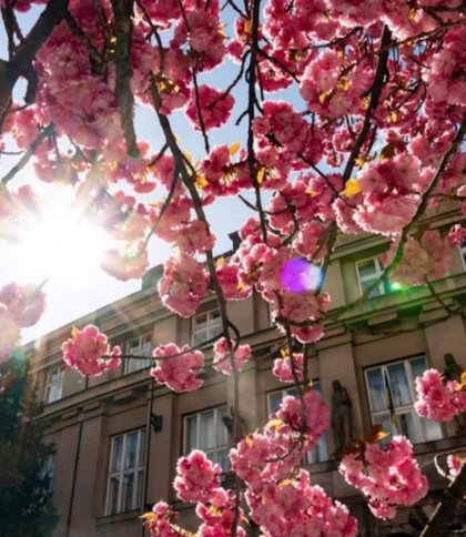 Синоптики прогнозують до 27 градусів тепла та грози на Львівщині