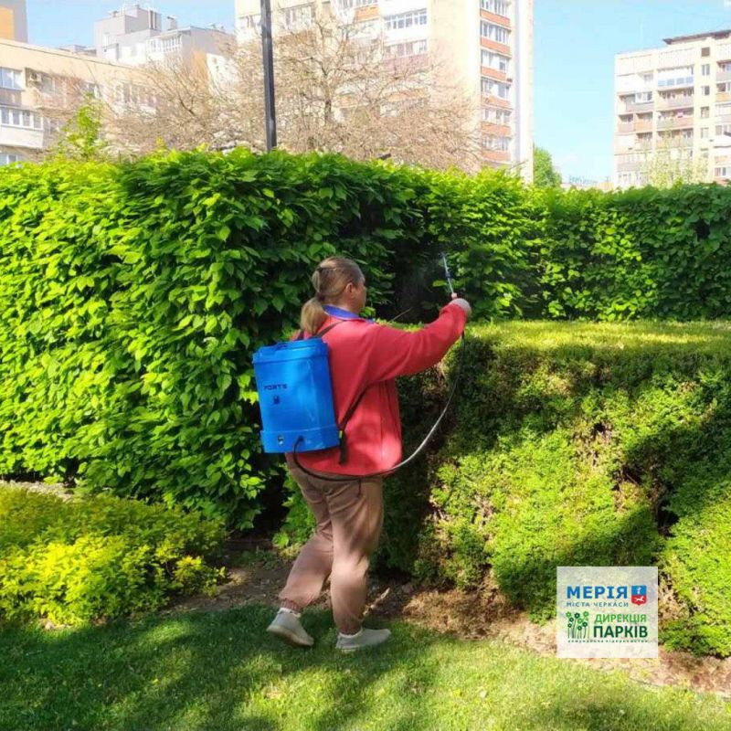 494199277_670839232378077_4766883915968978190_n