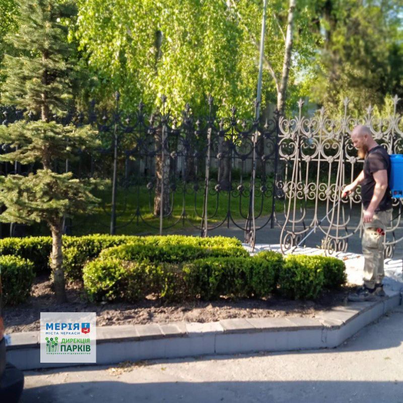 494535842_670839295711404_7829210761785411608_n