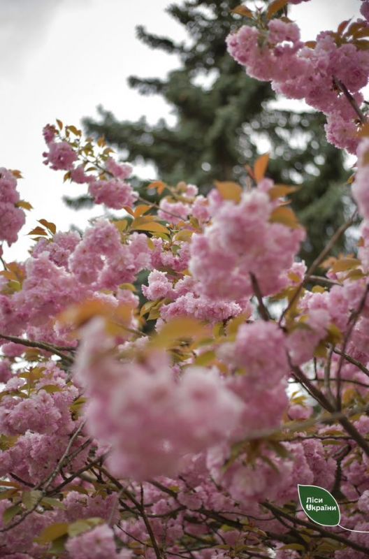 491810690_661330896863203_6878122187001226618_n