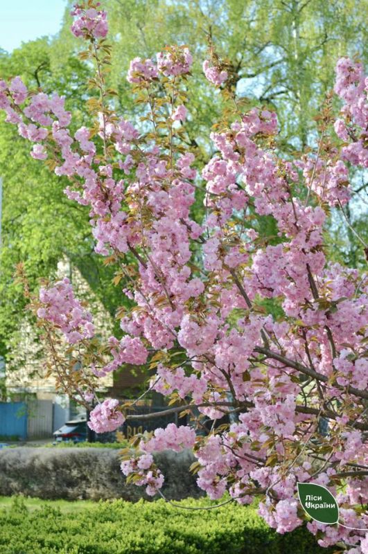 490683279_661330860196540_7681464132297129431_n