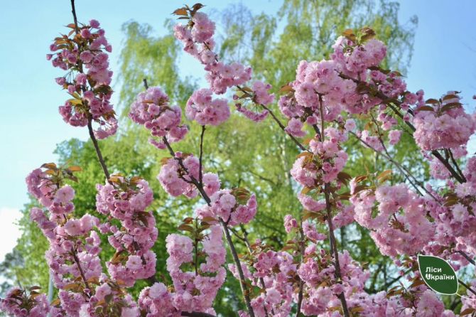 492707247_661330840196542_777391272519446109_n