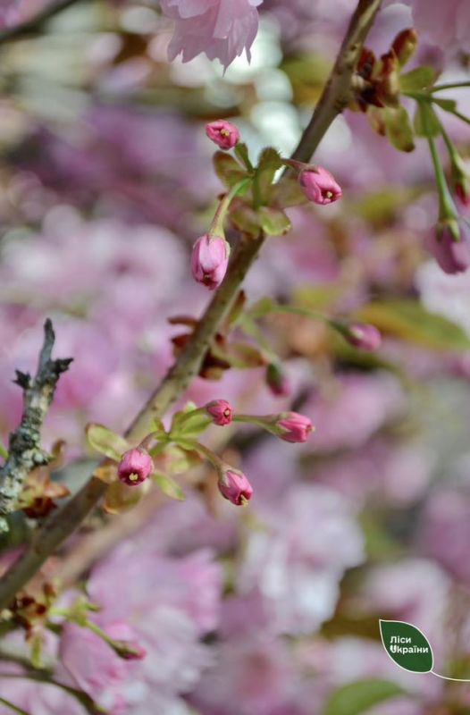 491919426_661330793529880_5212127328517026188_n