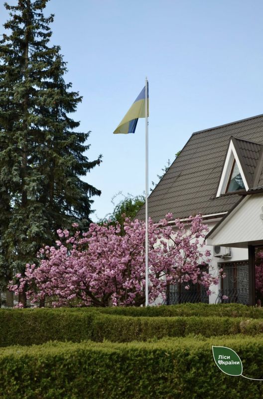 492375810_661331236863169_3428278087545981042_n