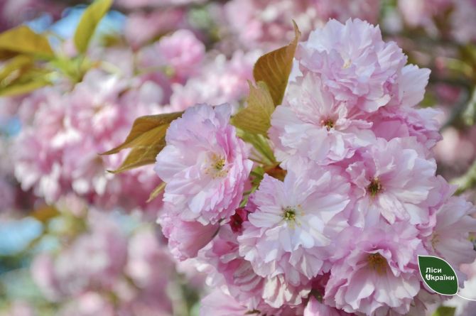 492446248_661331220196504_6980737057634073869_n