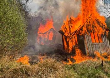 У Соснівці через підпал сухостою згоріли 9 дачних будиночків — Львівщіна