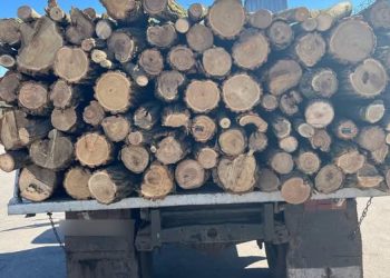 Вантажівку з деревиною без дозвільних документів виявили на Черкащині — Новости Черкасс