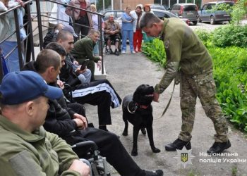Каністерапія для поранених: На Черкащині кінологи провели сеанс емоційної підтримки — Новости Черкасс