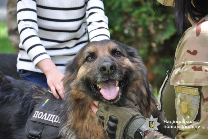 495372592_1138617688309518_5019249056949365268_n