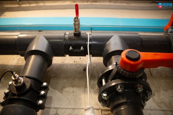 499252968_1135279725073197_6503867356475309396_n