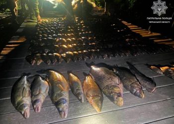 Ловив рибу 12 мисиновими сітками: на Дніпрі спіймали рибалку-порушника — Новости Черкасс