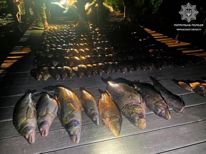 photo_2025-05-24_18-10-59