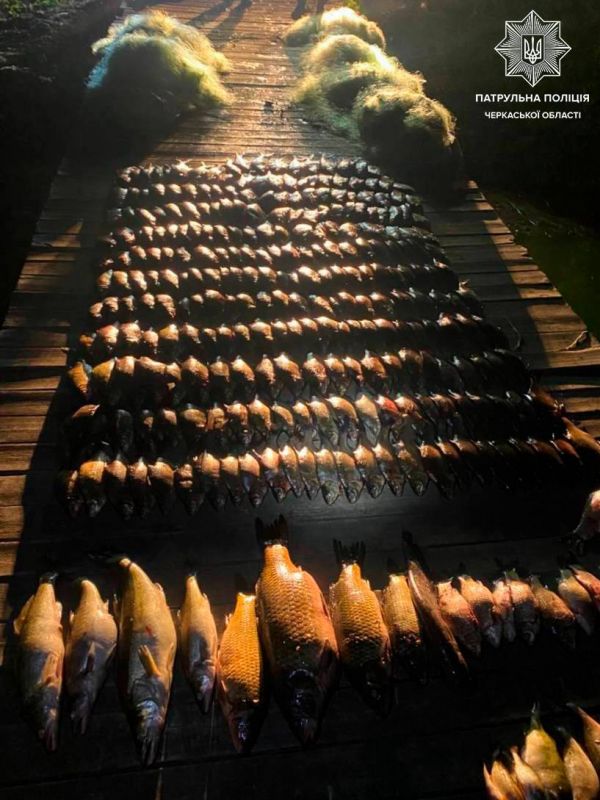 photo_2025-05-24_18-10-53