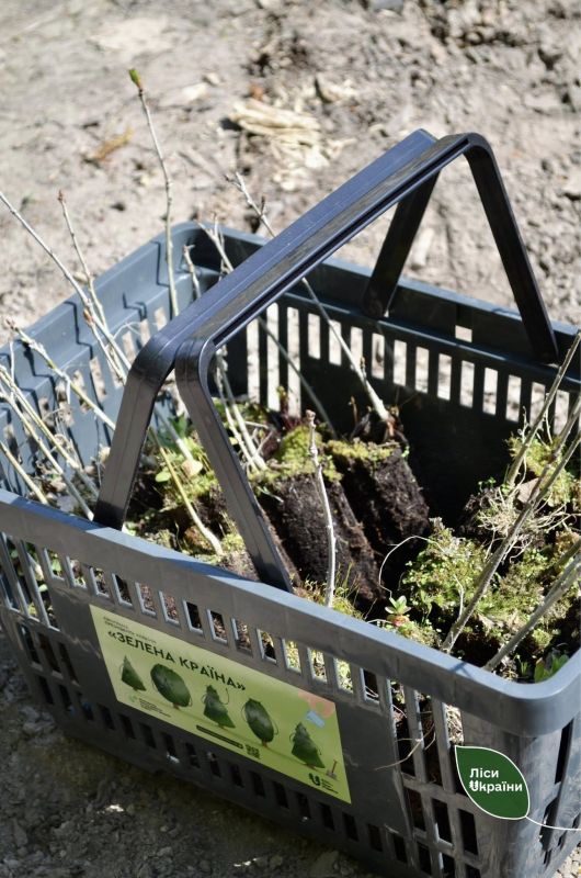 498117093_677670751895884_1450241260624507038_n