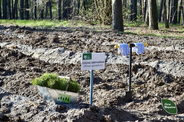 497543877_677670725229220_7316424033272849067_n