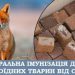 На території Канівщини проводитимуть імунізацію диких тварин — Новости Черкасс