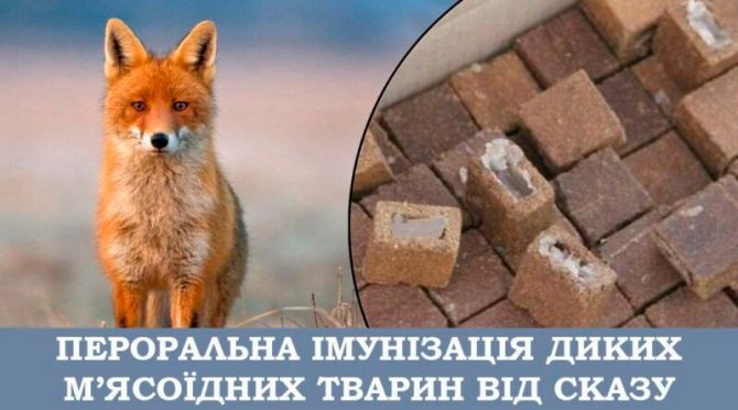 494258318_1013226827664900_3317301991162462606_n