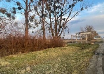 Підприємець купив дві земельні ділянки поблизу Жовкви за 2,6 млн грн — Львівщіна