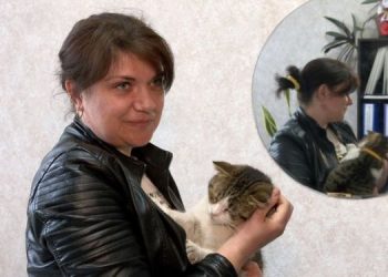 У міськраді на Черкащині «працює» кіт  — Новости Черкасс