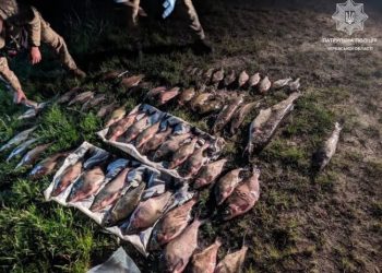 Збитки на понад 100 тисяч гривень: у Свидівку виявили рибалок-порушників — Новости Черкасс