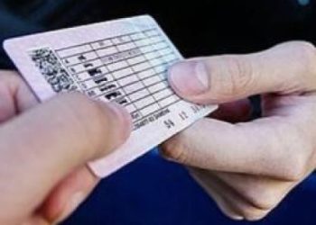 287 водіїв позбавлених прав їздили попри заборону суду на Львівщині — Львівщіна