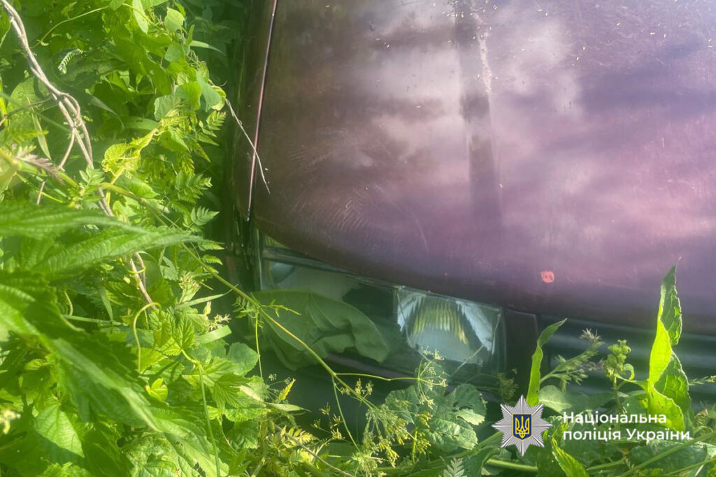 пошкодження на авто після ДТП у Звенигородці