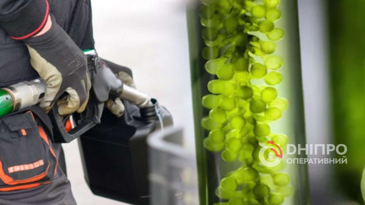 Біоетанол в бензині: чи змінилась якість пального