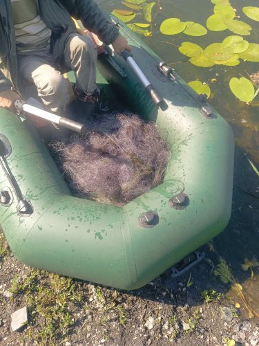 На Львівщині оштрафували рибалок: 5 кг риби випустили назад у воду – 01