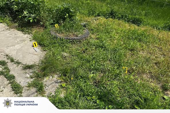 504150378_1159547479549872_6562206368296264013_n