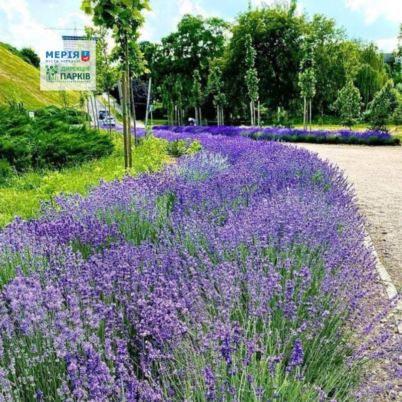 508192215_704611845667482_8160853619466916685_n