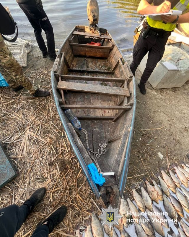 494745156_1157768179727802_2325633033527250353_n