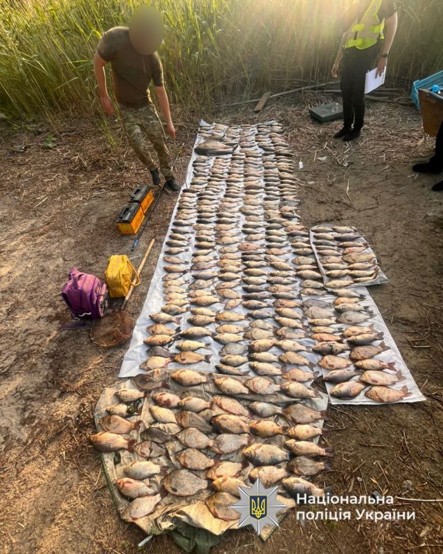 494279479_1157768173061136_8436487356123315457_n