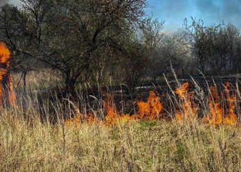 Пожежа сухостою на Львівщині: згоріло 11 дачних будинків