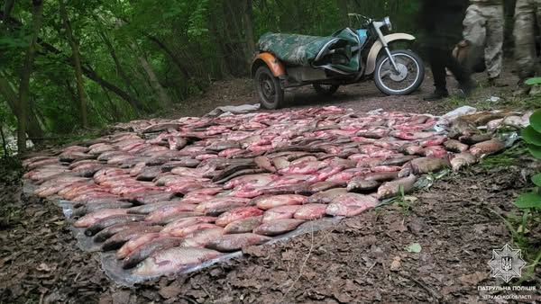 517708325_1148244524014513_6341994767459072934_n